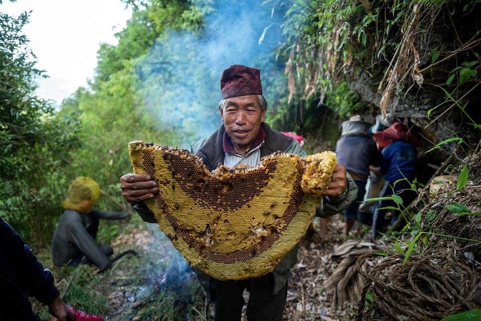 Loạt hình ảnh kề về việc săn mật loài ong lớn nhất thế giới ở Nepal - Ảnh 10.