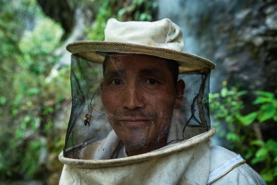 Loạt hình ảnh kề về việc săn mật loài ong lớn nhất thế giới ở Nepal - Ảnh 2.
