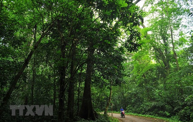Phát triển du lịch sinh thái, bền vững ở Vườn Quốc gia Cúc Phương - Ảnh 4.