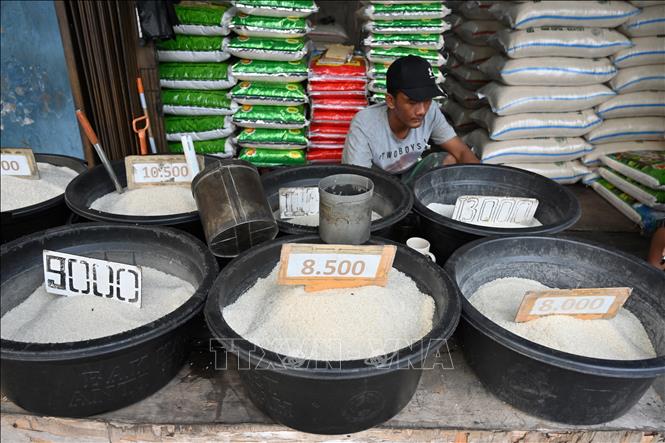 2 nước Đông Nam Á tăng tốc mua lượng gạo khổng lồ của Việt Nam - Ảnh 1.