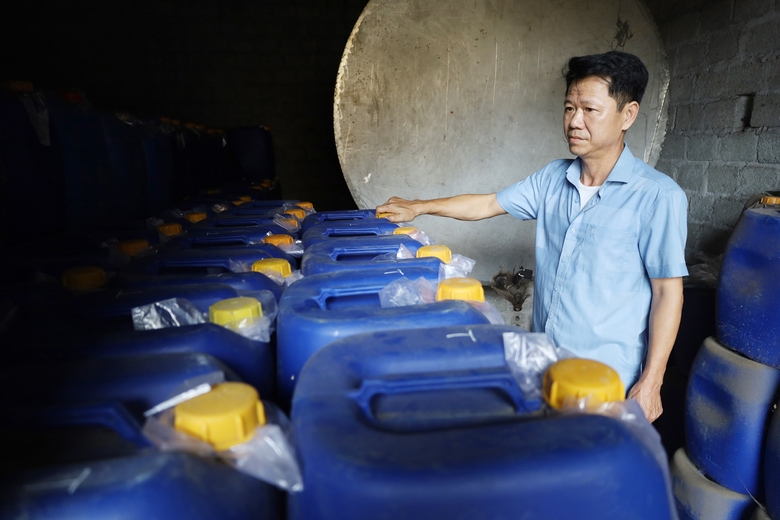 Đối tác Trung Quốc đột nhiên ngừng thu mua, giá tinh dầu quế ở Lào Cai giảm còn một nửa - Ảnh 1.