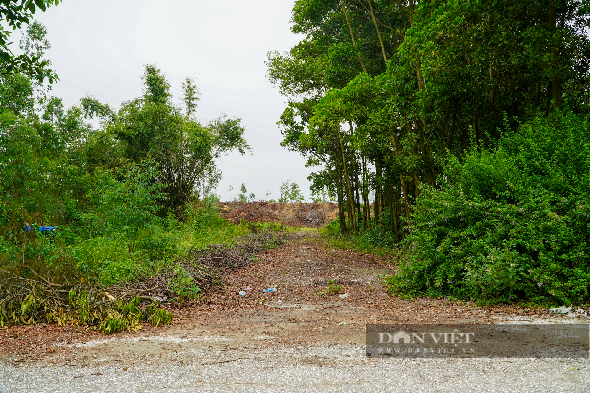 Con đường dài hơn 3 km đi qua 2 xã xuống cấp nghiêm trọng ở Sóc Sơn (Hà Nội) - Ảnh 6.