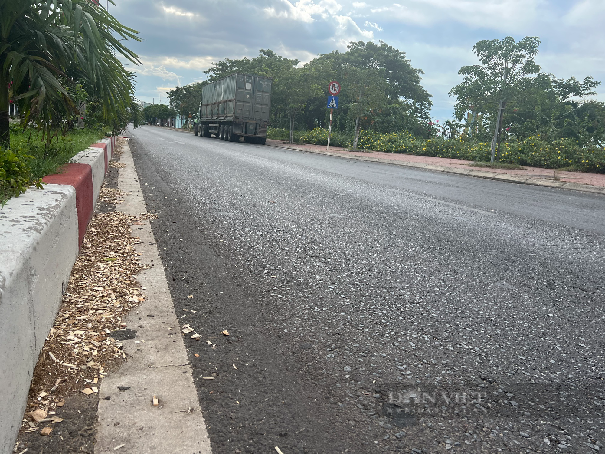 Chủ tịch Bình Định quay clip xe chở dăm gỗ rơi vãi trên đường đề nghị Giám đốc Sở xử lý - Ảnh 4.