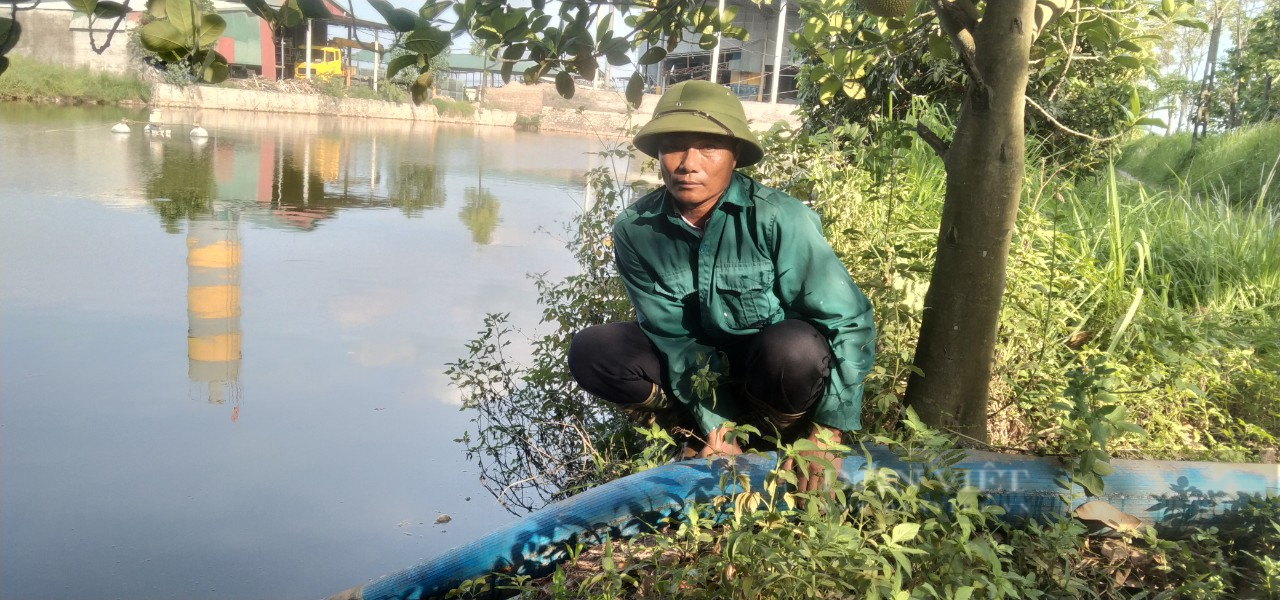 Một nông dân ở Hà Nội 6 năm liên tục bơm nước miễn phí vào ruộng, cứu sống hàng trăm ha lúa của người dân - Ảnh 1.