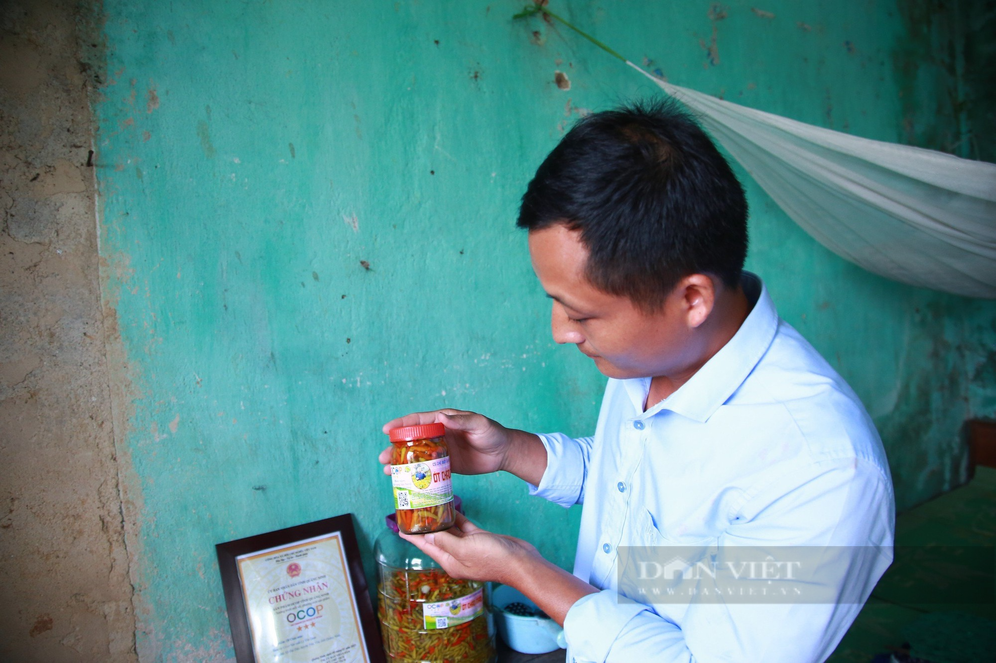 Trồng loại ớt có tên lạ lùng, trái nhỏ hơn đầu đũa, thầy giáo vùng cao Quảng Ninh không đủ hàng để bán - Ảnh 3.