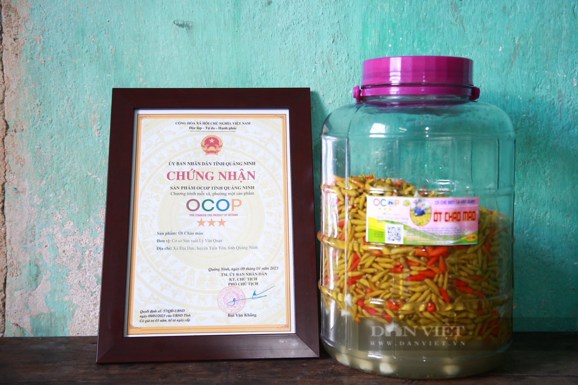 Trồng loại ớt có tên lạ lùng, trái nhỏ hơn đầu đũa, thầy giáo vùng cao Quảng Ninh không đủ hàng để bán - Ảnh 4.