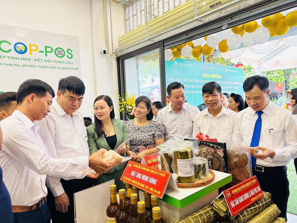 Hà Nội: Hội Nông dân huyện Ba Vì khai trương cửa hàng nông sản OCOP đặc sản - Ảnh 2.