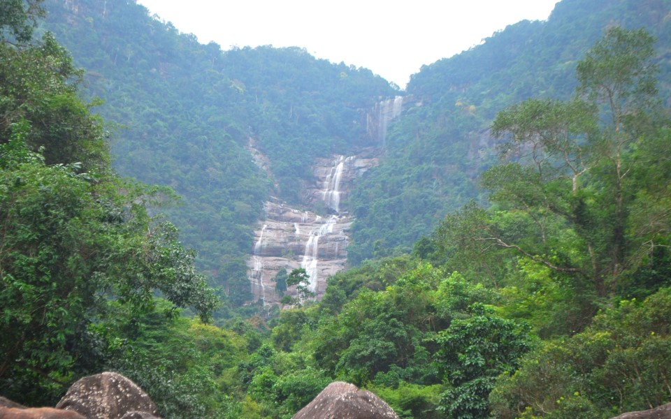 Ở nơi này cách TP Đà Nẵng 45km thấy núi rừng trùng điệp, vô số suối mát, thác đổ, có &quot;thạch ngư&quot; nằm chơi đùa - Ảnh 1.