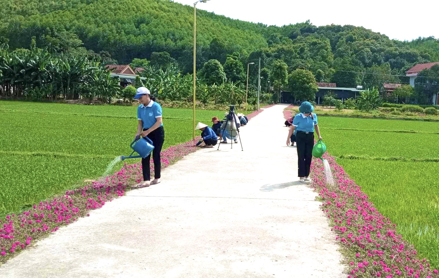 Nông thôn mới Quảng Bình đẹp hẳn lên từ những đường hoa, hàng rào xanh mướt - Ảnh 3.