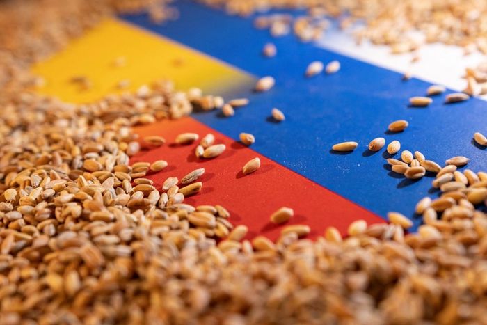 Thỏa thuận ngũ cốc Biển Đen sụp đổ đe dọa 'giỏ bánh mì' của nhiều nước - Ảnh 1.
