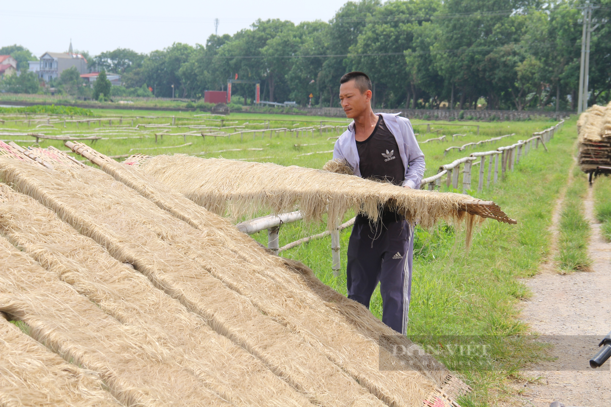 Người dân ngoại thành Hà Nội thu nhập &quot;khủng&quot; nhờ nghề làm miến trứ danh - Ảnh 3.