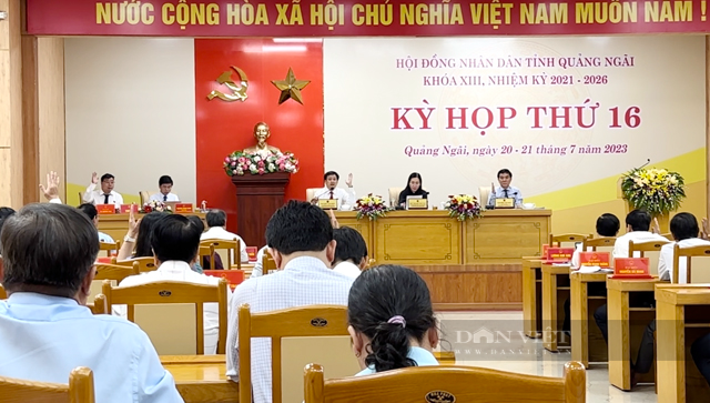 2 lãnh đạo Ban của HĐND tỉnh Quảng Ngãi có số phiếu bầu trúng cao tuyệt đối - Ảnh 3.