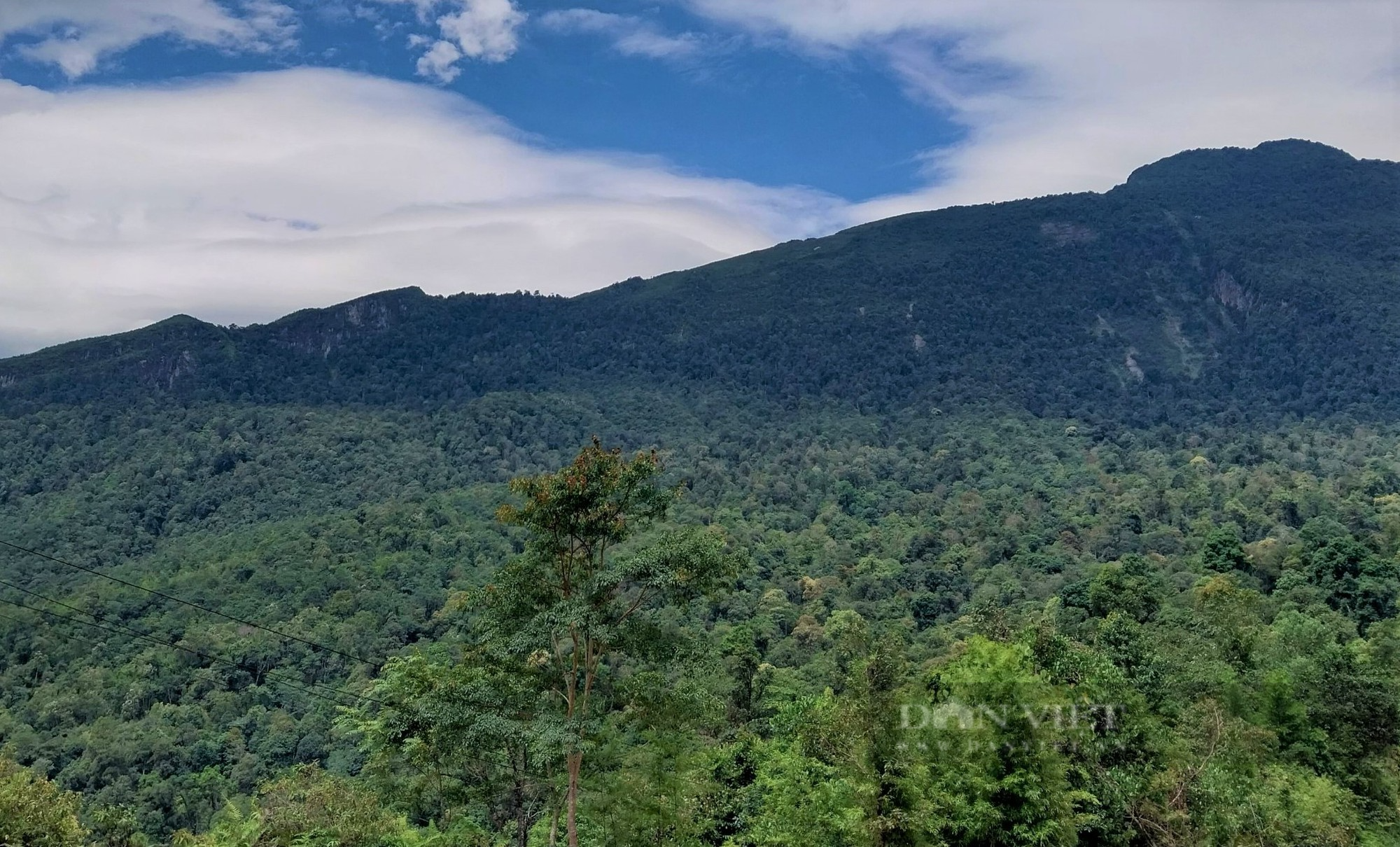 Nâng tầm Khu Bảo tồn thiên nhiên Bát Xát của Lào Cai lên Vườn Quốc gia - Ảnh 1.