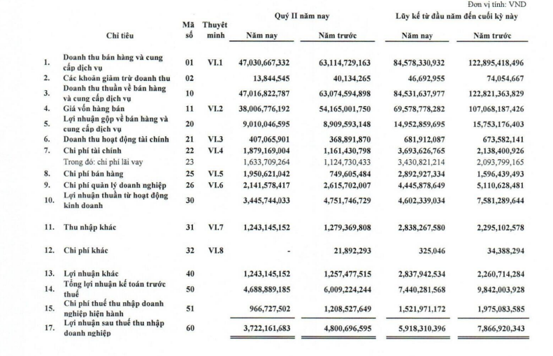 Năng lượng Sơn Hà (SHE): Lãi lũy kế 6 tháng giảm 24,4%, trữ tiền giảm sút - Ảnh 1.