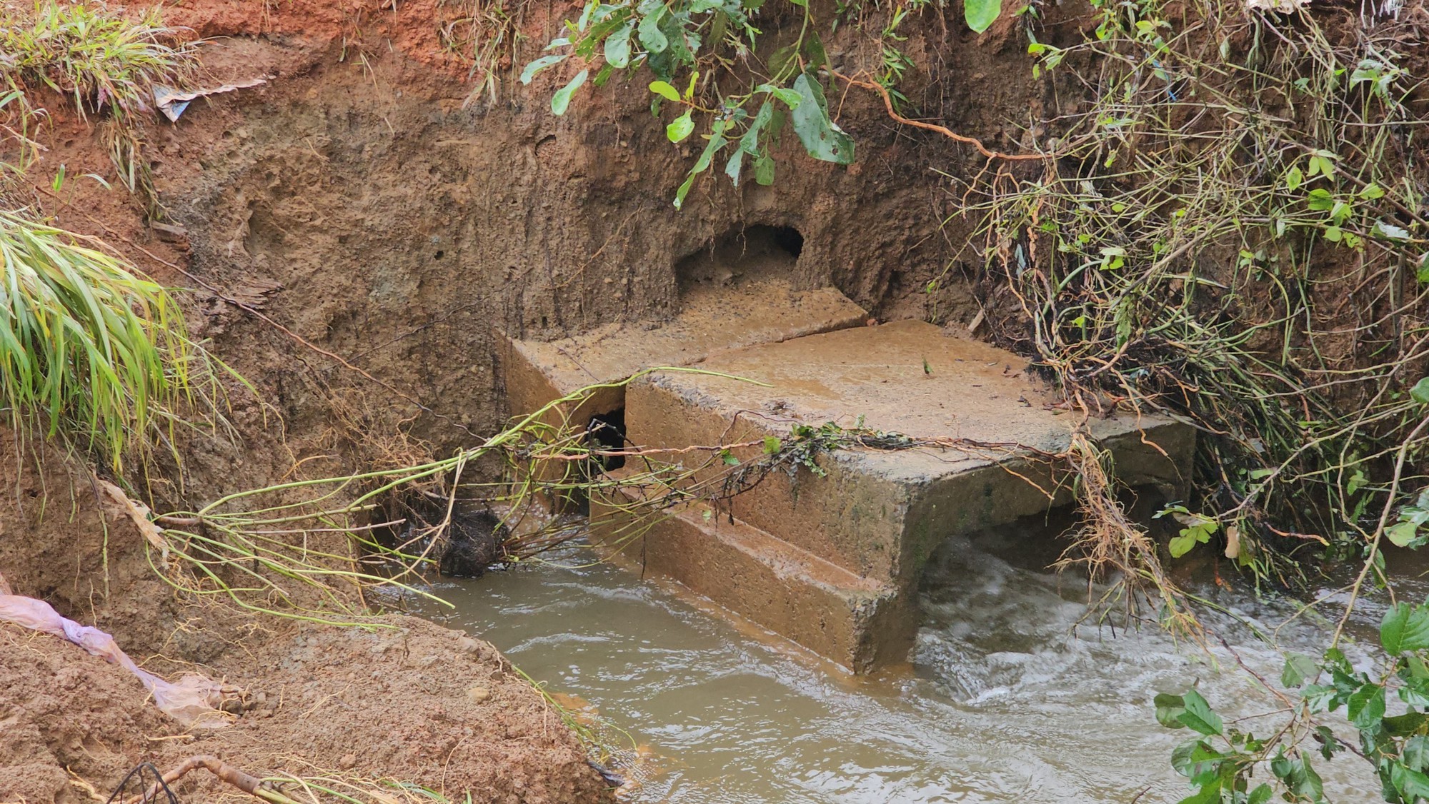 Vỡ hồ chứa nước ở Đắk Nông gây thiệt hại hơn nửa tỷ đồng - Ảnh 1.
