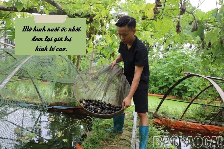 Hai ông nông dân ở Lào Cai đều nuôi con đặc sản bơi lặn dưới nước, cả 2 đều giàu lên trông thấy - Ảnh 1.