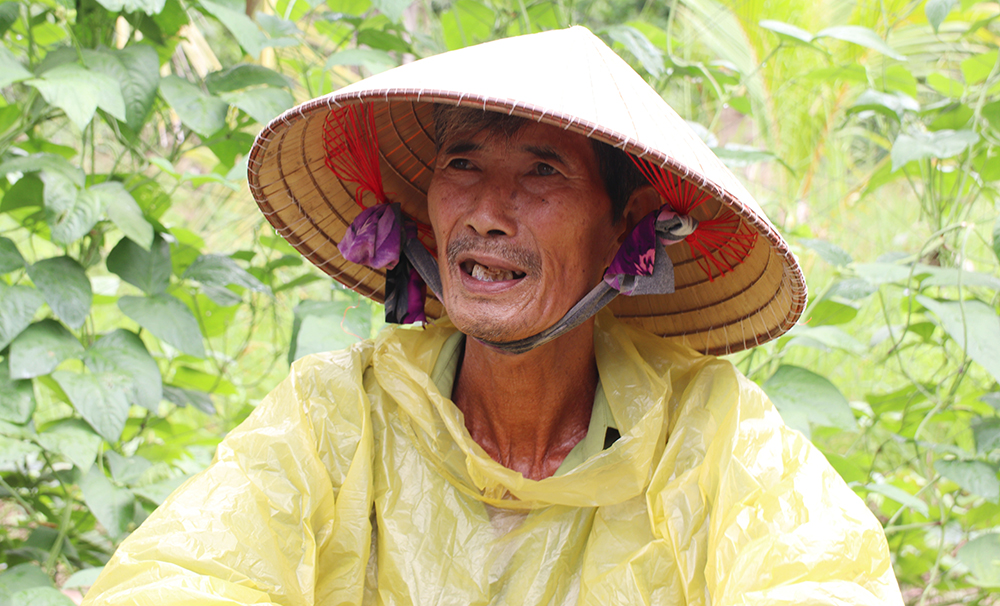 Nhãn tím ở Tân Châu - Ảnh 7.