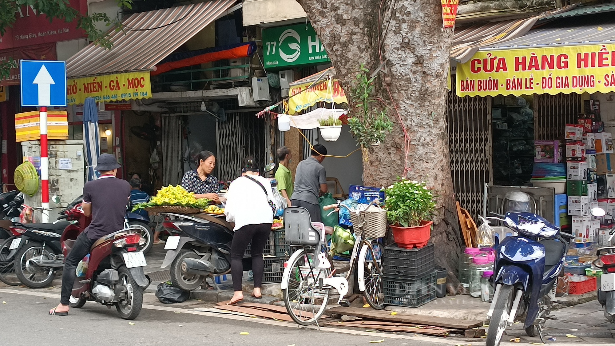 Người dân Hà thành tìm mua loại quả màu vàng óng về chỉ để &quot;ngửi chứ không ăn&quot; - Ảnh 2.