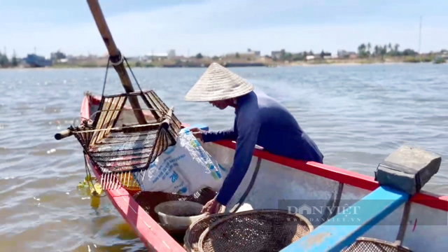 Con don ở cuối sông Trà - Ảnh 7.