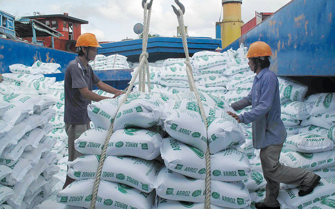 Giá gạo xuất khẩu đạt lên cao nhất trong 10 năm, dự báo nóng về triển vọng ngành gạo 6 tháng cuối năm  - Ảnh 2.