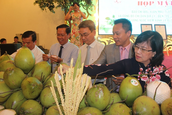 Trung Quốc tiêu thụ 2,6 tỷ quả dừa, chuẩn bị sang Việt Nam kiểm tra thực địa các vùng trồng dừa xuất khẩu - Ảnh 1.