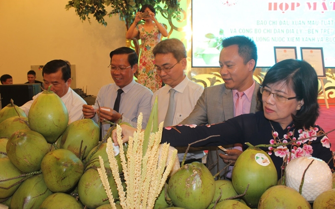 Trung Quốc tiêu thụ 2,6 tỷ quả dừa, chuẩn bị sang Việt Nam kiểm tra thực địa các vùng trồng dừa xuất khẩu