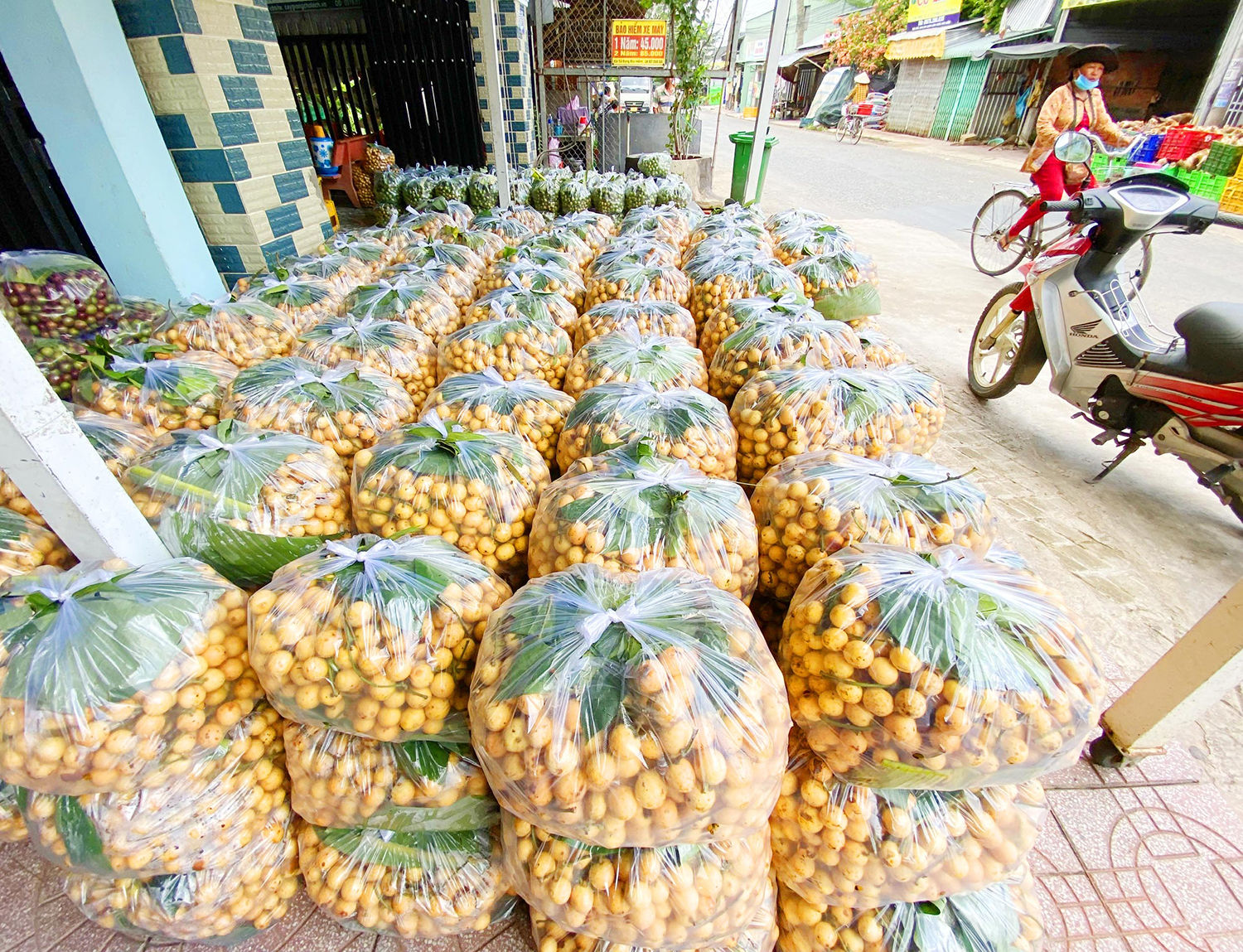 Một ngọn núi cao ở An Giang, lên đến nơi thấy dân gánh vô số trái cây, sầu riêng là thứ quả ngon nhất - Ảnh 11.