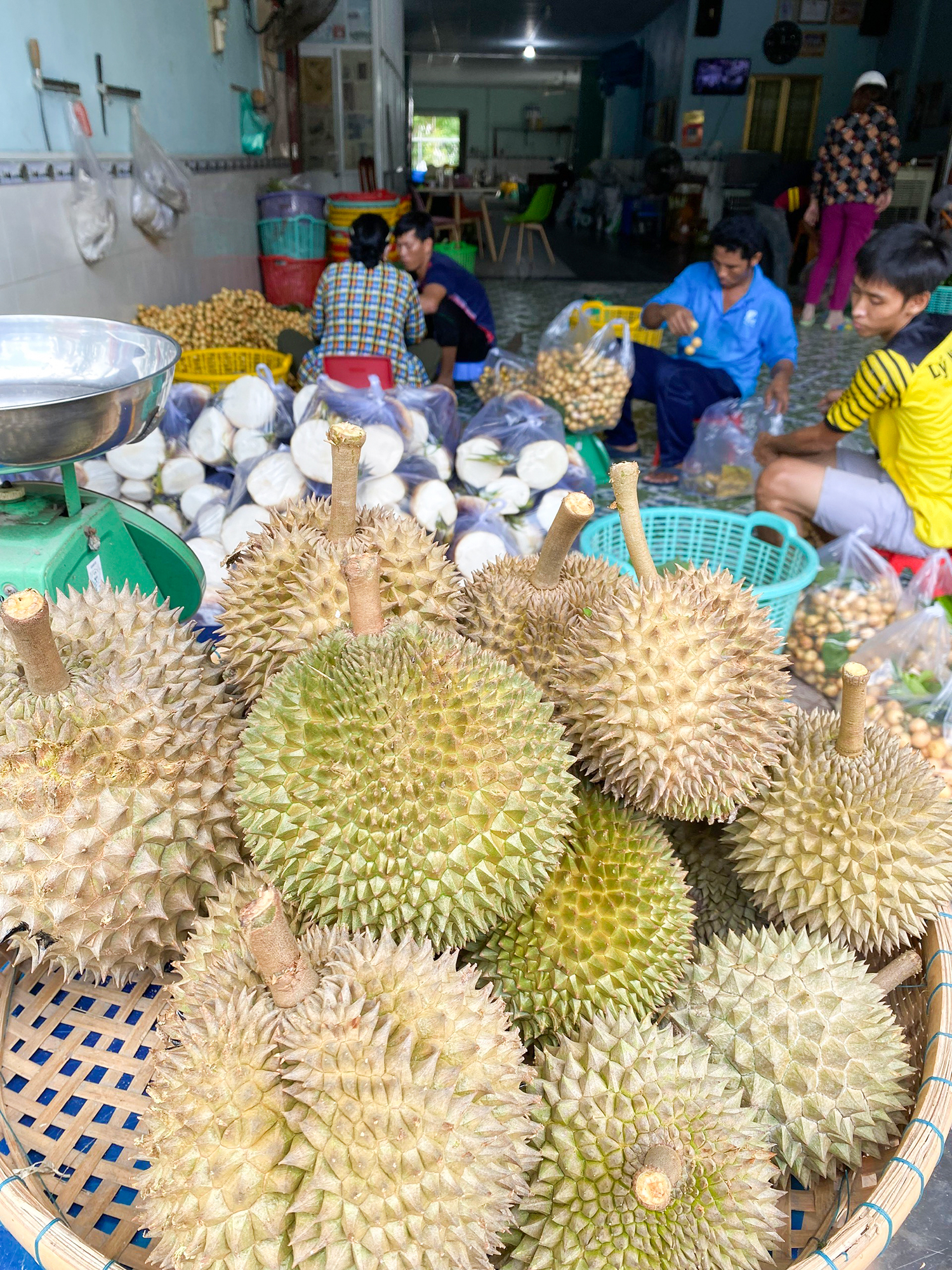 Một ngọn núi cao ở An Giang, lên đến nơi thấy dân gánh vô số trái cây, sầu riêng là thứ quả ngon nhất - Ảnh 16.