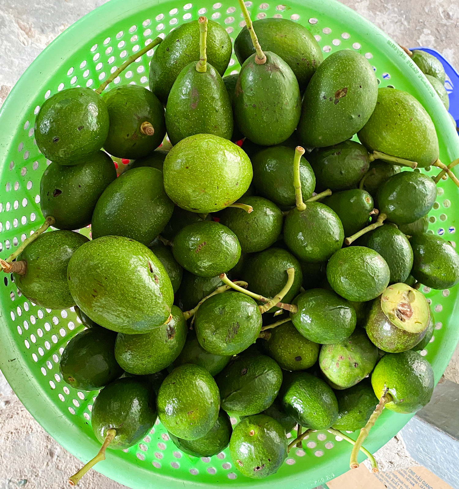 Một ngọn núi cao ở An Giang, lên đến nơi thấy dân gánh vô số trái cây, sầu riêng là thứ quả ngon nhất - Ảnh 18.