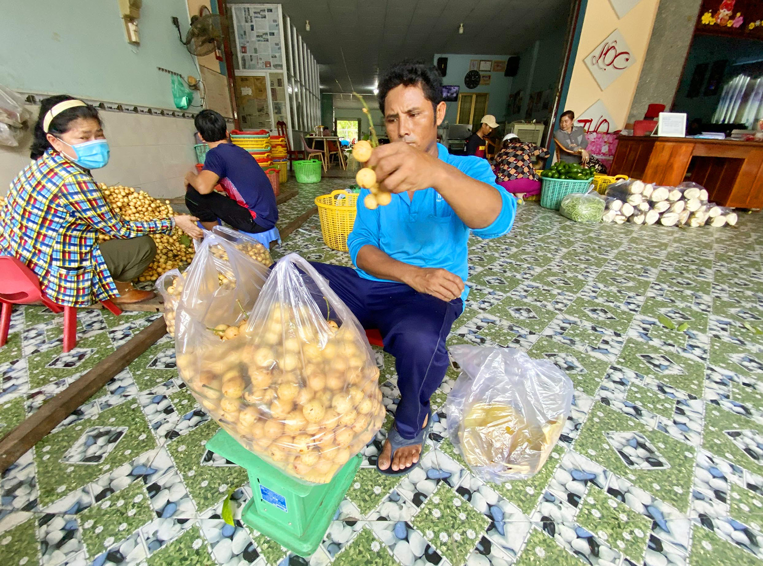 Một ngọn núi cao ở An Giang, lên đến nơi thấy dân gánh vô số trái cây, sầu riêng là thứ quả ngon nhất - Ảnh 8.