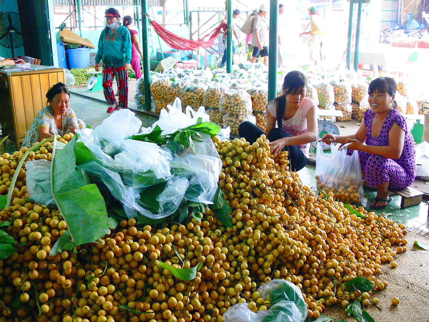 Một ngọn núi cao ở An Giang, lên đến nơi thấy dân gánh vô số trái cây, sầu riêng là thứ quả ngon nhất - Ảnh 9.