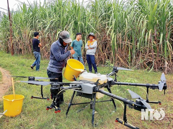 Máy bay không người lái lượn trên đồng mía ở Ninh Thuận, đỡ bao công sức, nông dân thấy khỏe hơn - Ảnh 1.