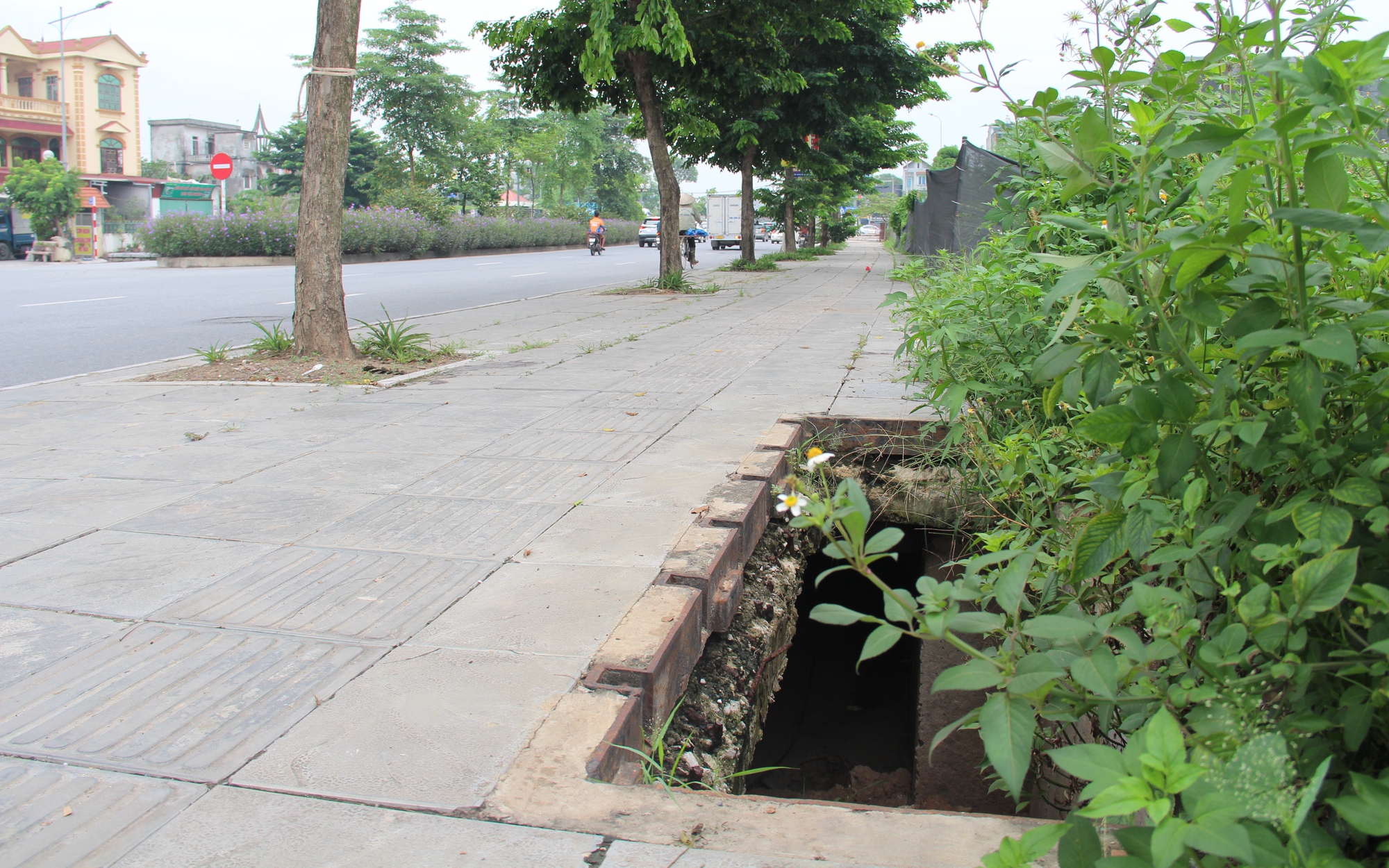 Nhiều hố ga ở huyện Gia Lâm (Hà Nội) mất nắp, "giăng bẫy" người đi đường