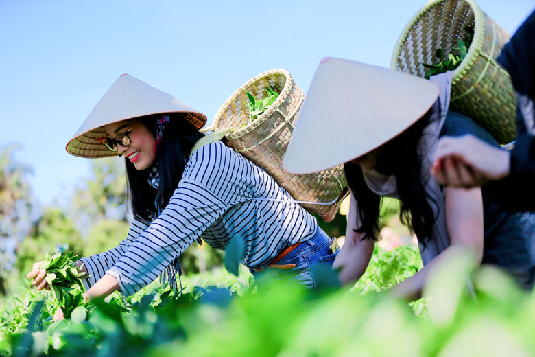 Khởi nghiệp làm du lịch nông nghiệp, du lịch nông thôn: &quot;Mỏ vàng&quot; cho nông dân Việt - Ảnh 7.