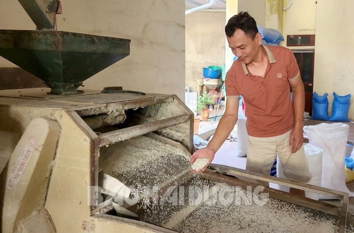 Huyện có nhiều người làm nghề xát gạo nhất tỉnh Hải Dương, mỗi năm bán cả trăm nghìn tấn gạo sang Trung Quốc - Ảnh 1.
