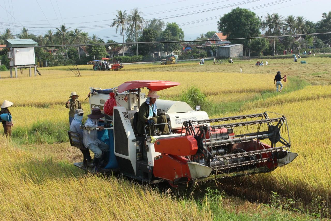 Hội Nông dân tỉnh Phú Yên khẳng định sứ mệnh phục vụ hội viên, nông dân - Ảnh 4.