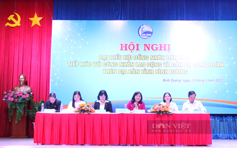 Hội nghị tiếp xúc công nhân lao động và cán bộ công đoàn do HĐND tỉnh Bình Dương tổ chức giữa tháng 5. Ảnh: Nguyễn Vy