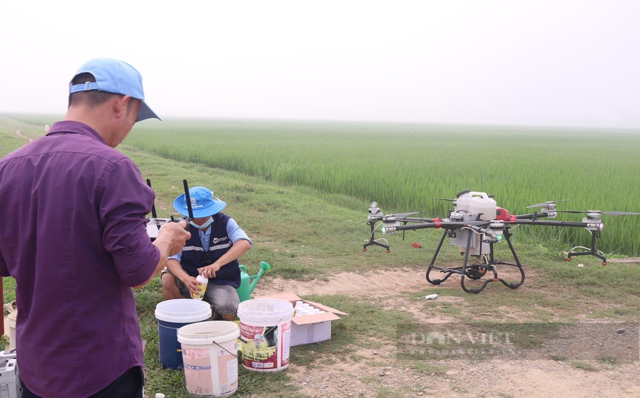 Máy bay không người lái lượn trên cánh đồng lúa lớn nhất Nghệ An làm việc khó thay cho sức người - Ảnh 1.
