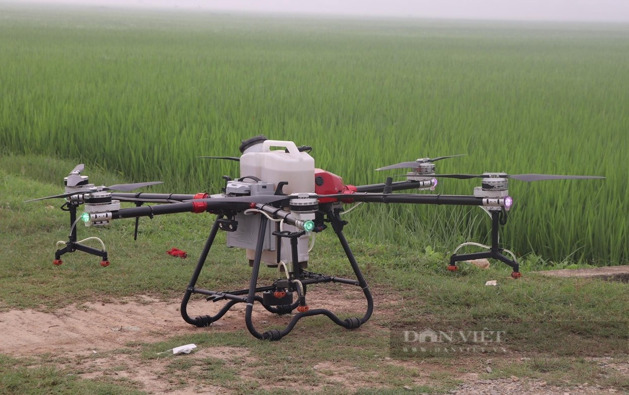 Máy bay không người lái lượn trên cánh đồng lúa lớn nhất Nghệ An làm việc khó thay cho sức người - Ảnh 3.
