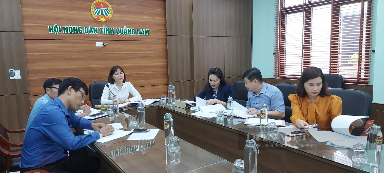 Hội Nông dân tỉnh Quảng Nam chuẩn bị sẵn sàng cho Đại hội nhiệm kỳ 2023-2028  - Ảnh 2.