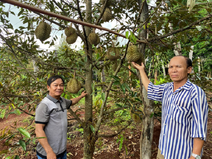 Những thương binh vượt khó, làm kinh tế giỏi - Ảnh 4.