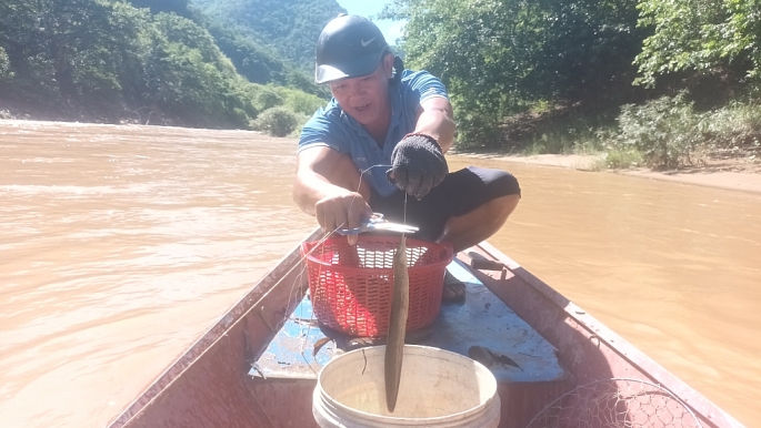 Một dòng sông chảy từ đất Lào vào Nghệ An, dân đi bắt loài cá gì mà ví như &quot;đi săn thủy quái&quot;? - Ảnh 3.