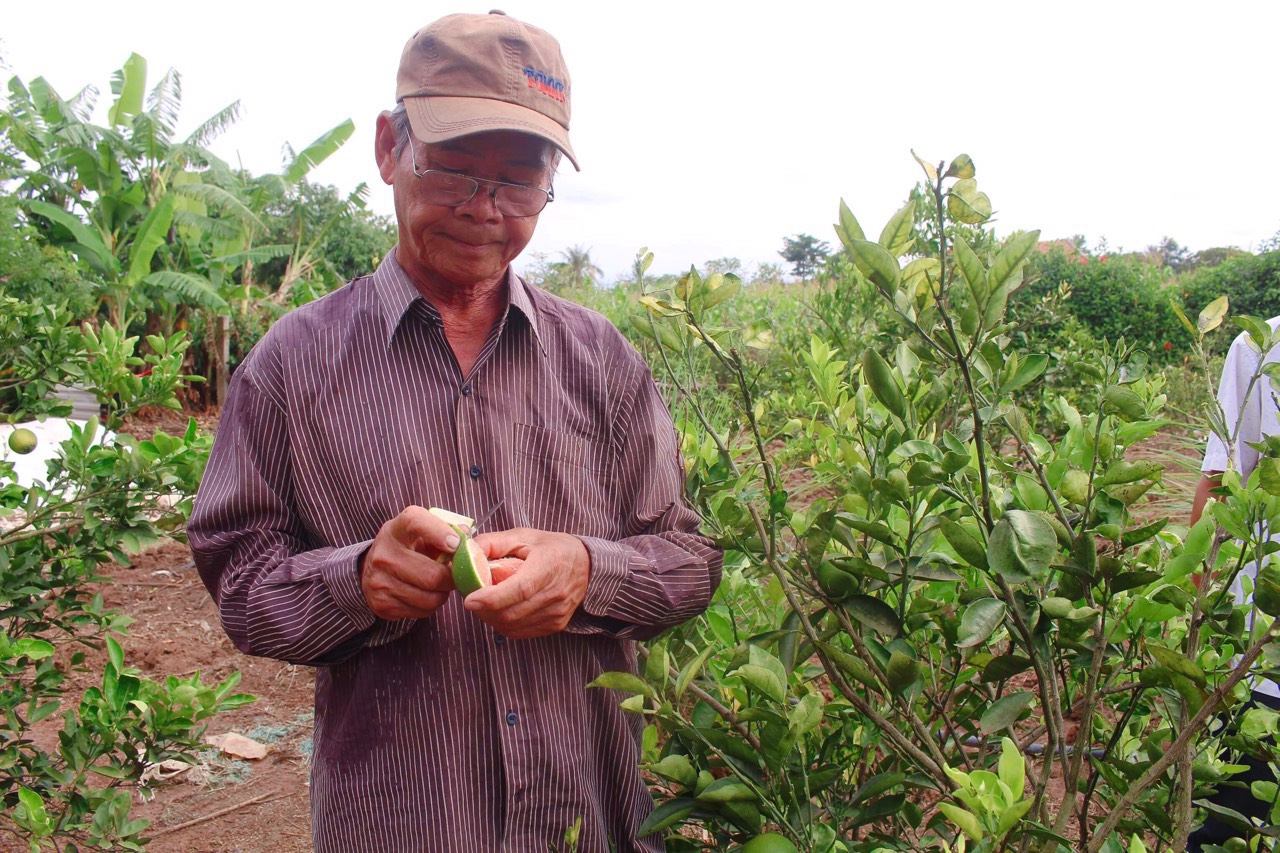 Những thương binh vượt khó, làm kinh tế giỏi - Ảnh 1.