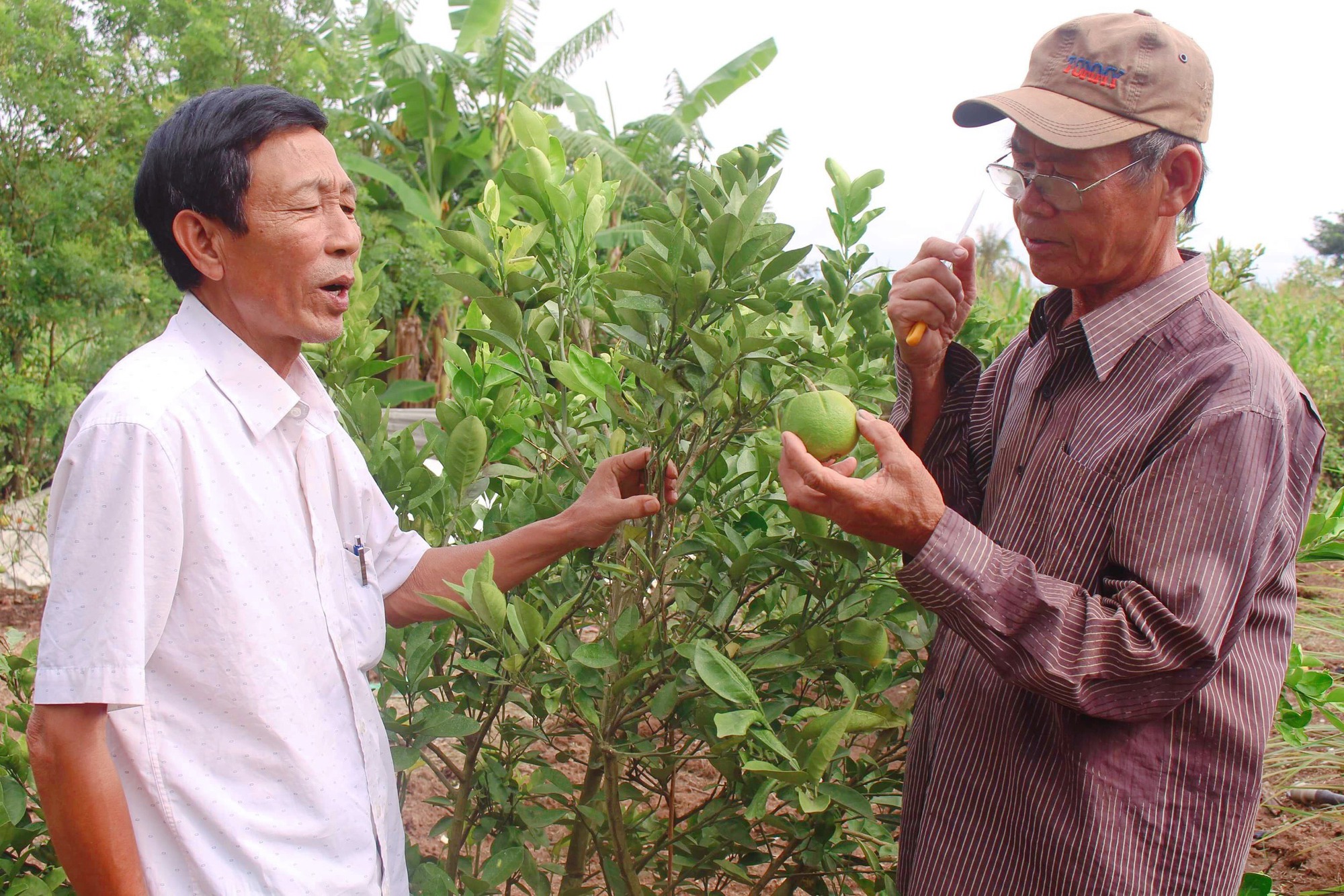 Những thương binh vượt khó, làm kinh tế giỏi - Ảnh 2.