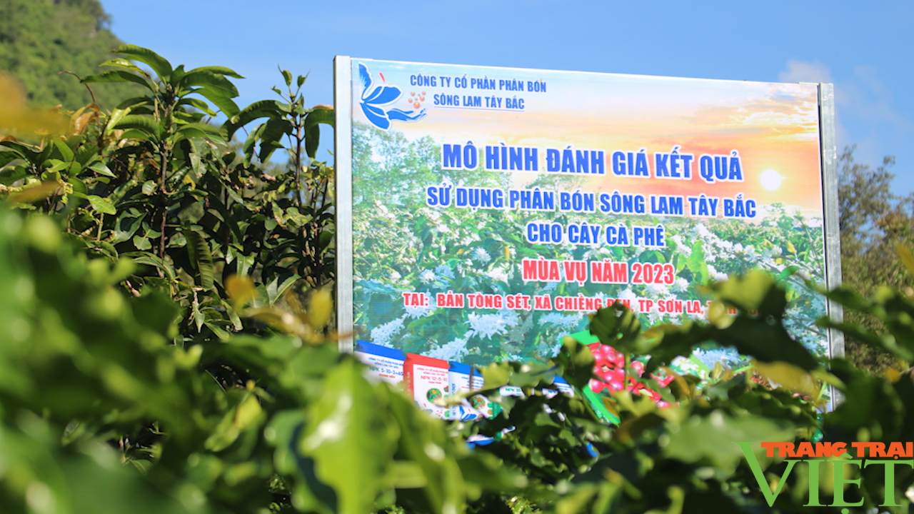 Phân bón Sông Lam Tây Bắc đồng hành cùng nông dân làm giàu - Ảnh 7.