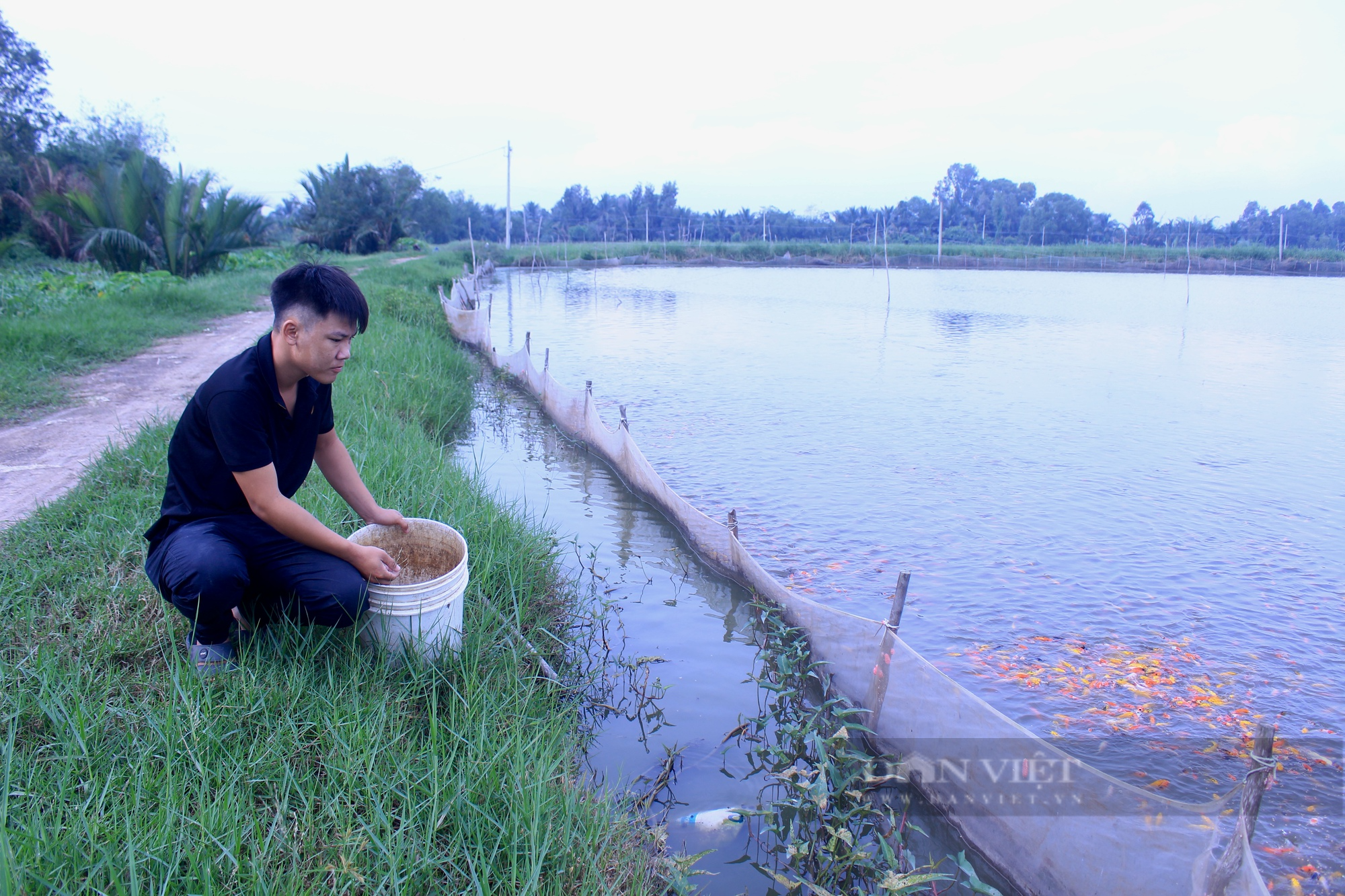 TP.HCM hướng đến nông nghiệp sinh thái, nông thôn hiện đại, nông dân văn minh - Ảnh 1.