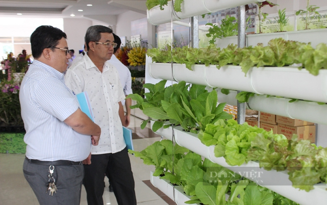 TP.HCM hướng đến nông nghiệp sinh thái, nông thôn hiện đại, nông dân văn minh - Ảnh 3.