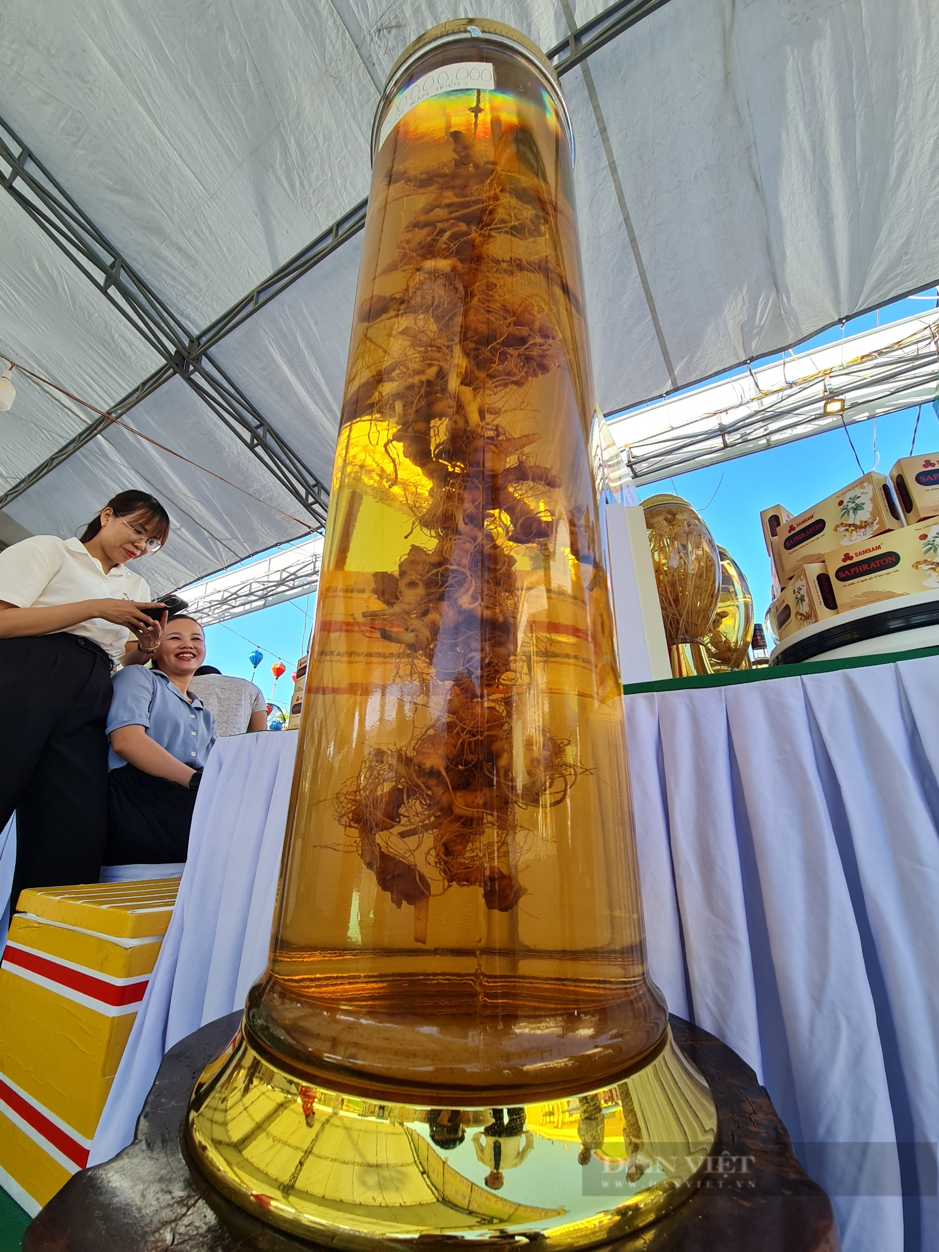 Bình rượu gần 2kg sâm Ngọc Linh củ, giá nửa tỷ đồng ở Quảng Nam có gì đặc biệt - Ảnh 1.