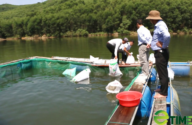 Quảng Ngãi đồng ý cho nuôi cá tại 10 hồ chứa ở 8 huyện, thị - Ảnh 3.