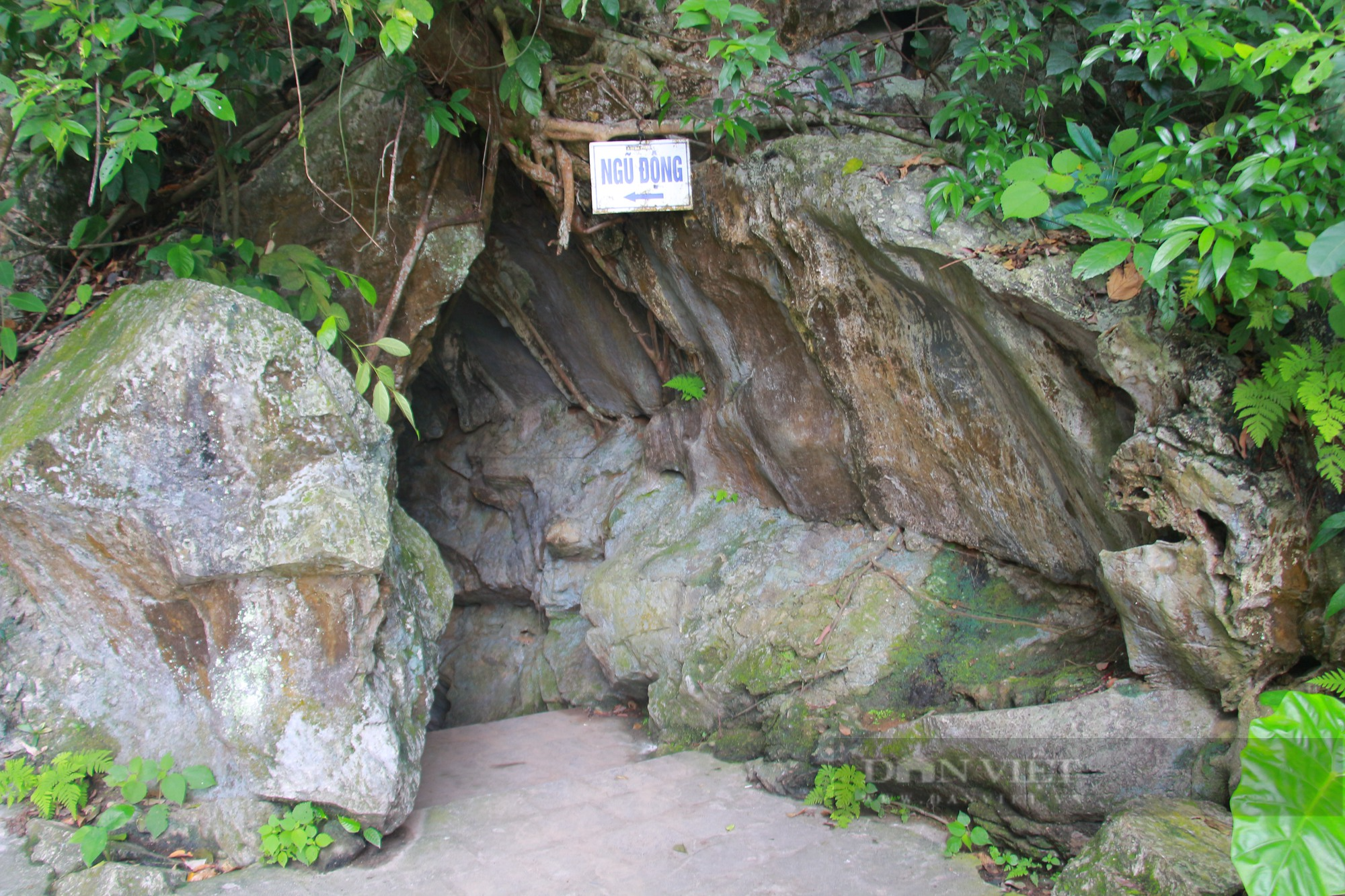 Khám phá đền Trúc - Ngũ động Thi Sơn ở Hà Nam (bài 2): Vố số thạch nhũ ẩn mình trong hang đá - Ảnh 2.